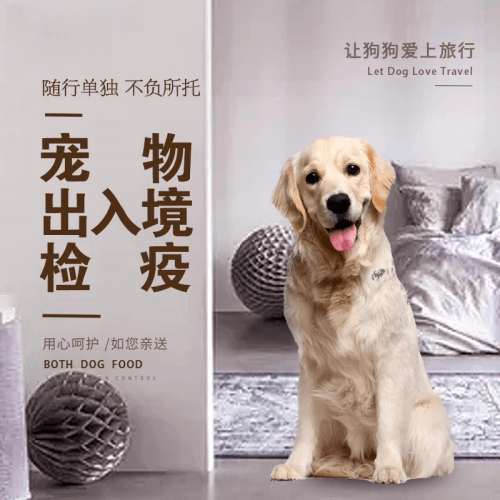 鹤壁市宠物托运到哥伦比亚猫狗宠物入境规定和