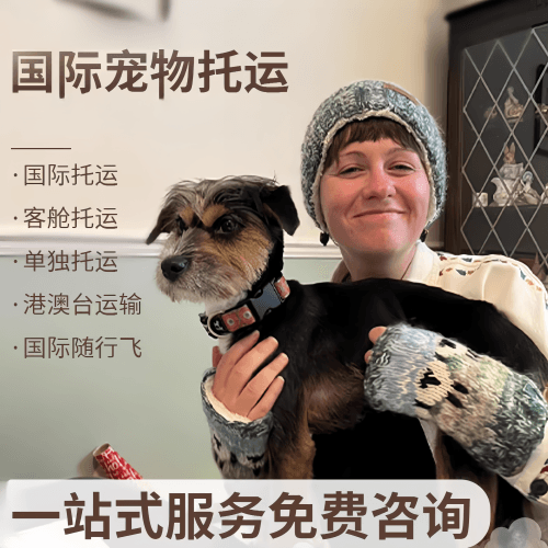 鹤壁市国际宠物托运到阿根廷宠物入境规定和要