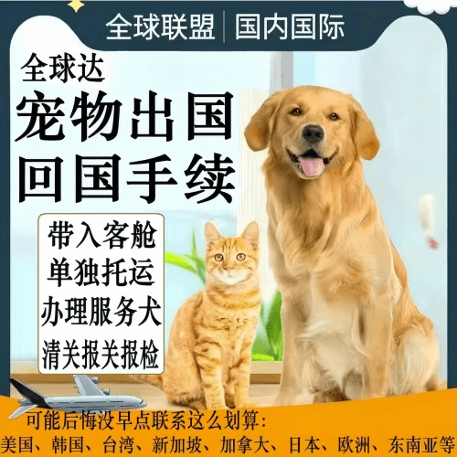 鹤壁市宠物托运到柬埔寨宠物入境规定和要求