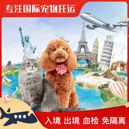 鹤壁市宠物托运到美国宠物入境最新规定和要求
