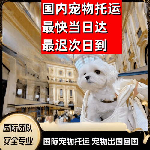 鹤壁市到澳大利亚（澳洲）宠物入境规定和要求