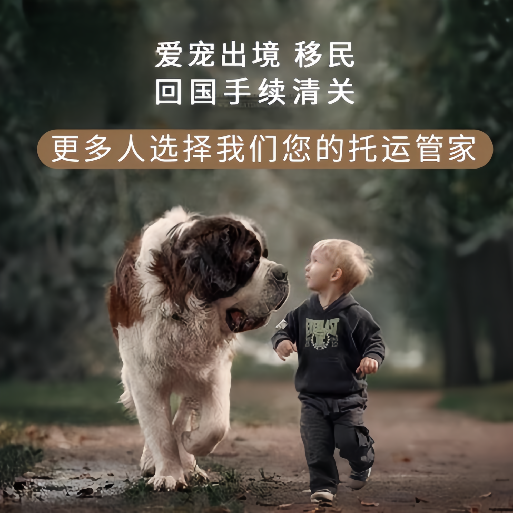 满财鹤壁市宠物全球达宠物托运在遵守入境目的地政策的条件