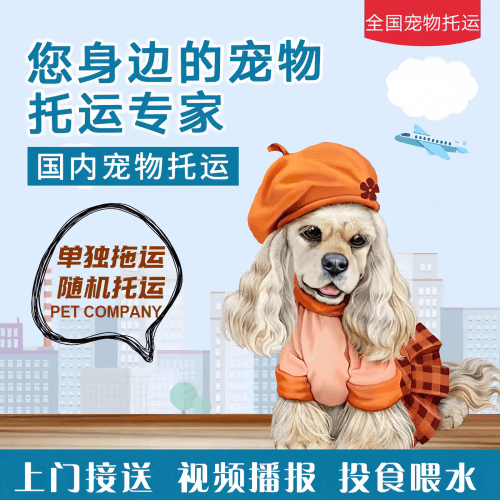 满财鹤壁市宠物全球达宠物托运作为专业的宠物运输代理机构